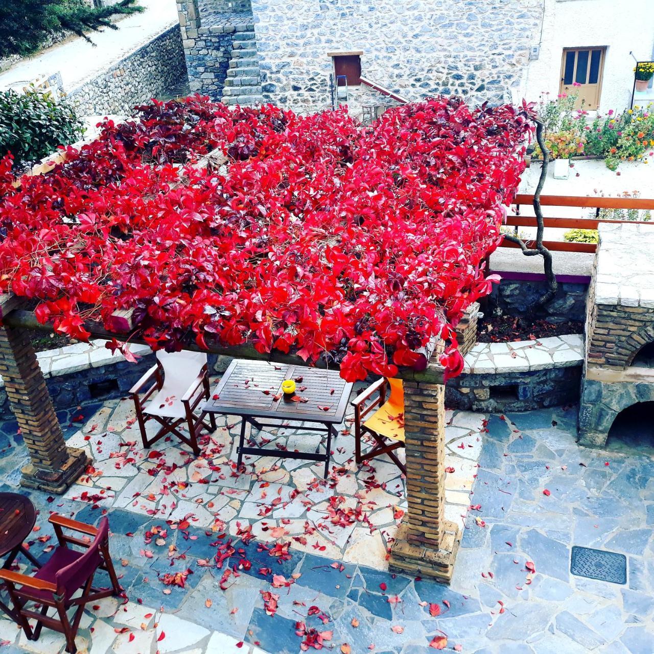 Archontiko Nikolopoulou Hotel Vytina Exterior photo